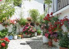 malaga airport to nerja