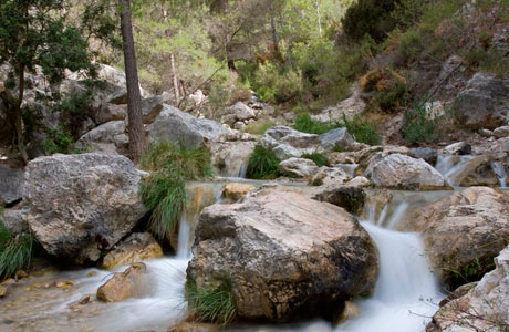 malaga airport transfers to nerja