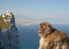 malaga airport to nerja