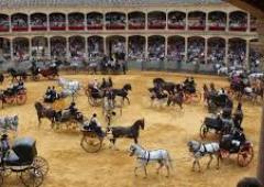 malaga airport to nerja